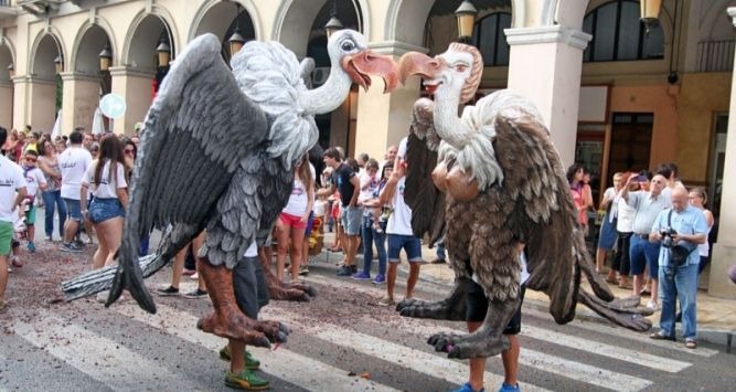 Voltors Bisbal Empordà