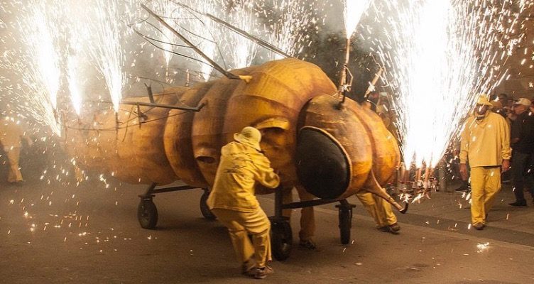 Fil·loxera de Sant Sadurní