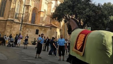 Mulassa de Tarragona