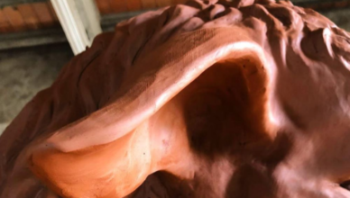 Orella Ovella de Castellví de la Marca