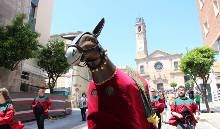 Mulassa de Badalona ballant